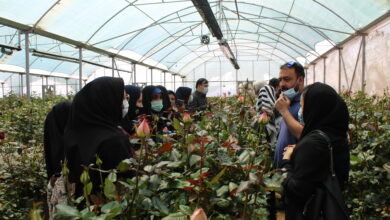 Photo of بازدید علمی از گلخانه هیدروپونیک انواع گل ها و کارگاه گلاب گیری در روستای فرخد